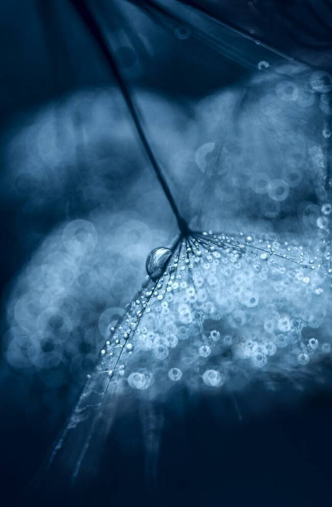 Blue Ivelina Blagoeva 
