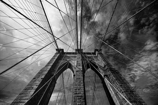 Brooklin Marco Tagliarino