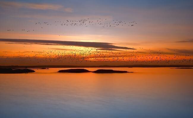 By sunset Piotr Krol (Bax)
