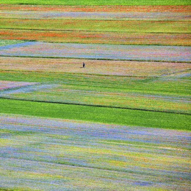 Castelluccio 5 Massimo Della Latta
