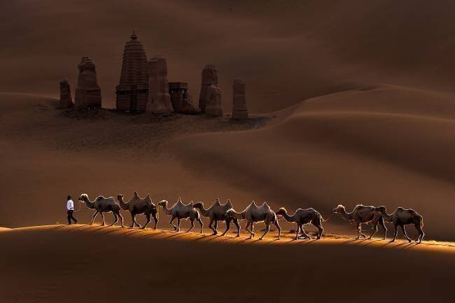 Castle and Camels Mei Zu