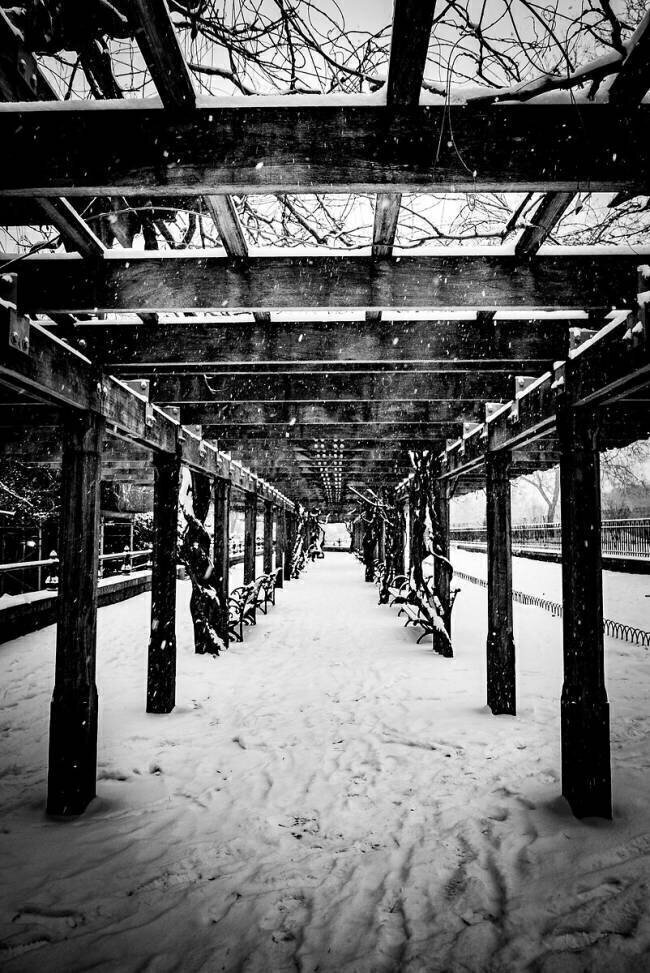 Central Park Winter Guilherme Pontes