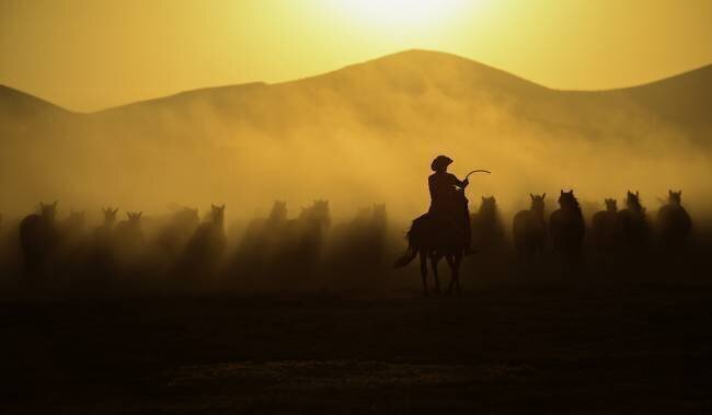 Chasing the Jades! Yavuz Pancareken