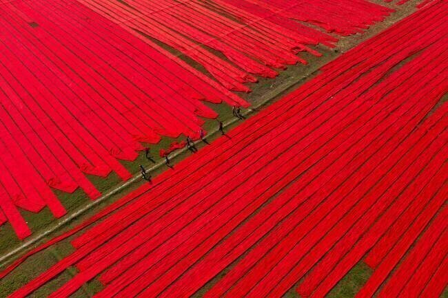 Childhood on red fabrics Azim Khan Ronnie