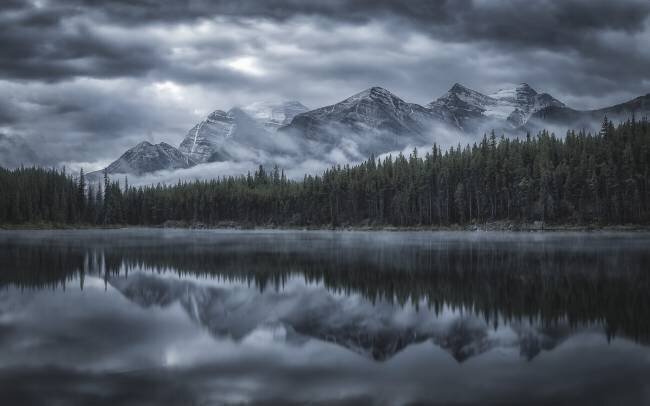 Cold Mountains Michael Zheng