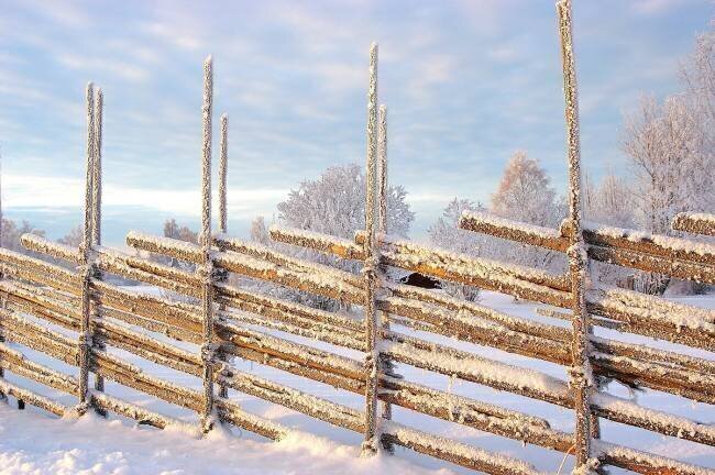 Cold winter morning Anders Ludvigson