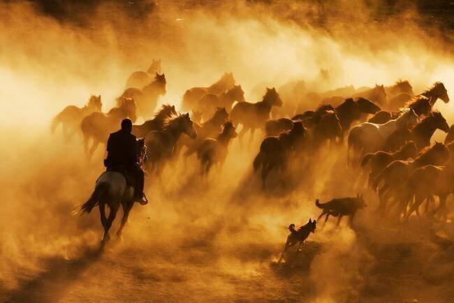 Cowboy Feyzullah Tunç