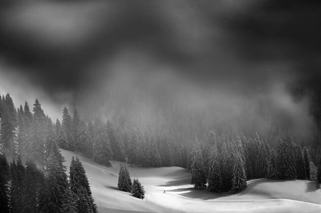 Cross Country Christoph Hessel