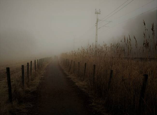 Deeply into the fog Kremena Nikolaeva