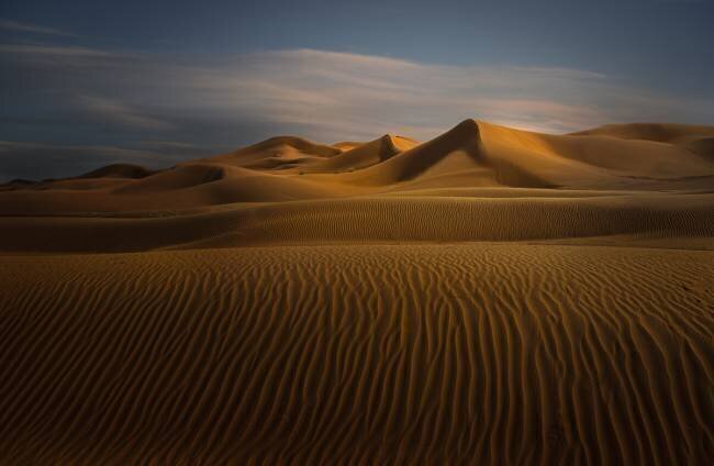 Desert John-Mei Zhong
