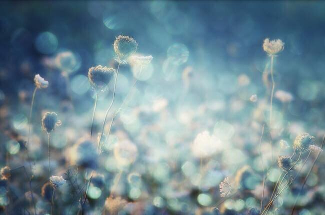 Diamonds Stefan Eisele