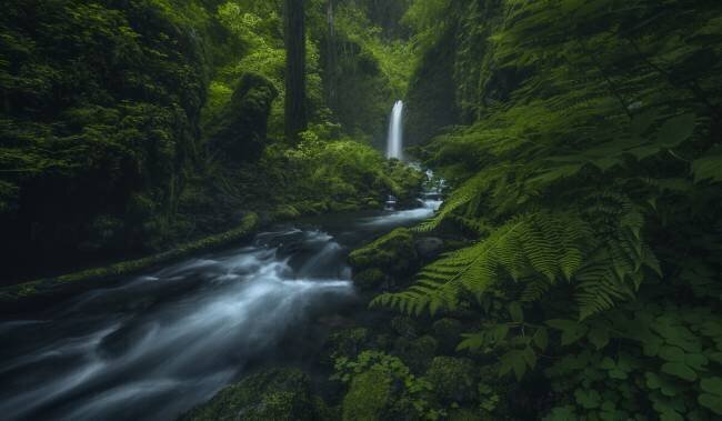 D(r)earest Friend Ryan Dyar