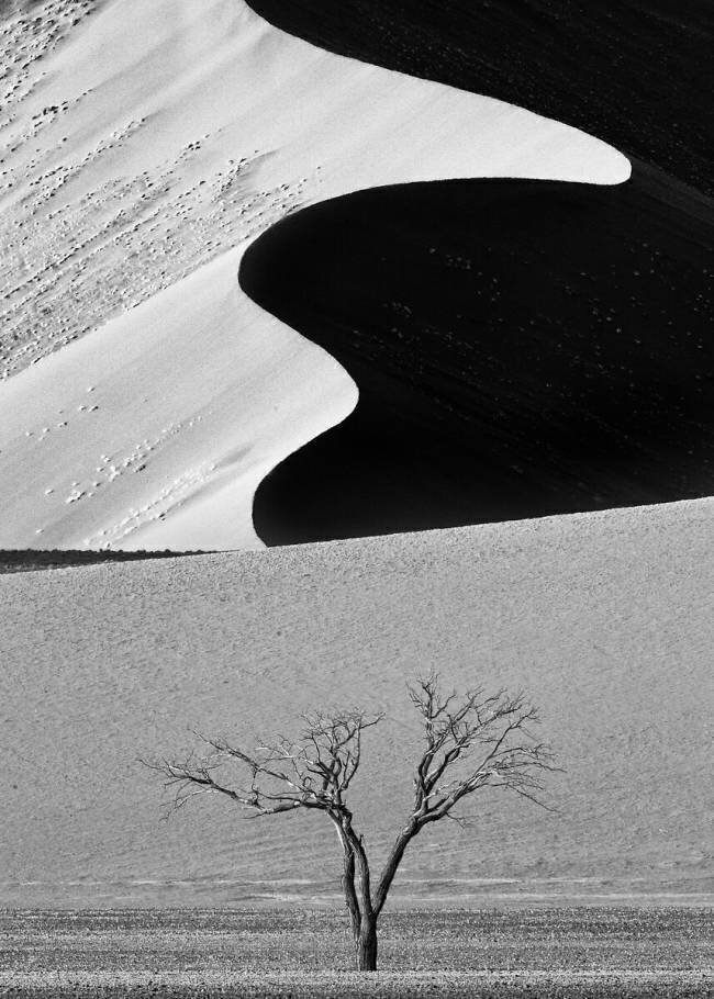 Dune Curves Ali Khataw