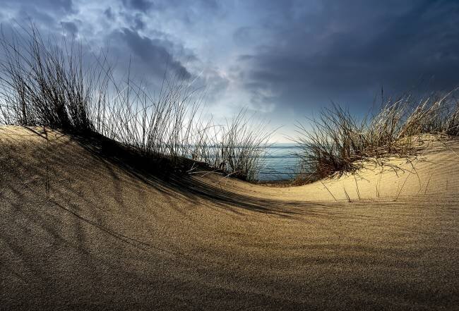 Dunes Wim Schuurmans