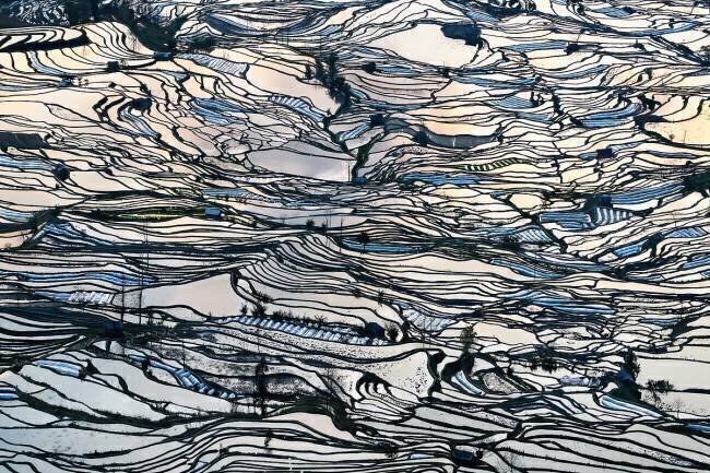 Earth Carpet George Doupas