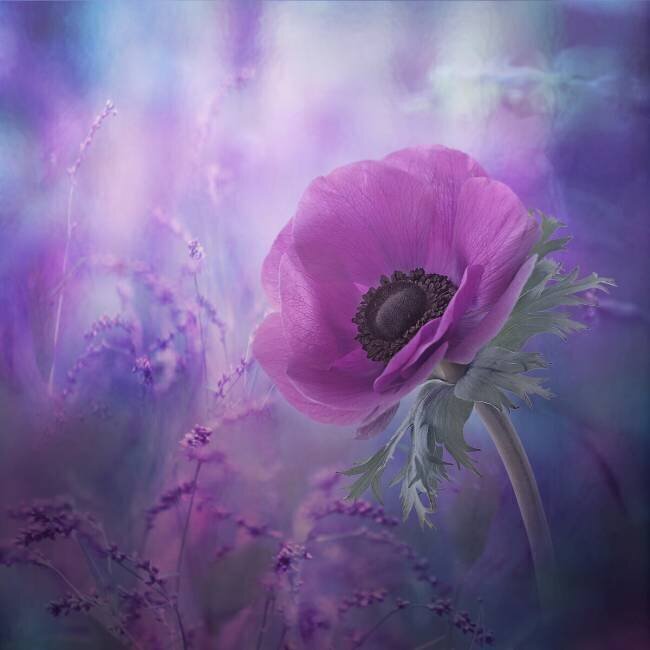Ecstasy Natalia Simongulashvili