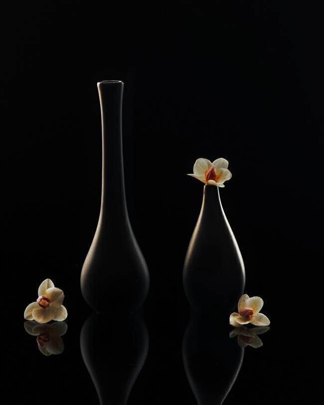 Elegant orchid Louie Luo