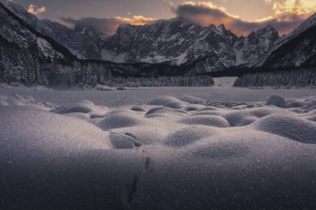 Enjoy the Silence Thomas de Franzoni