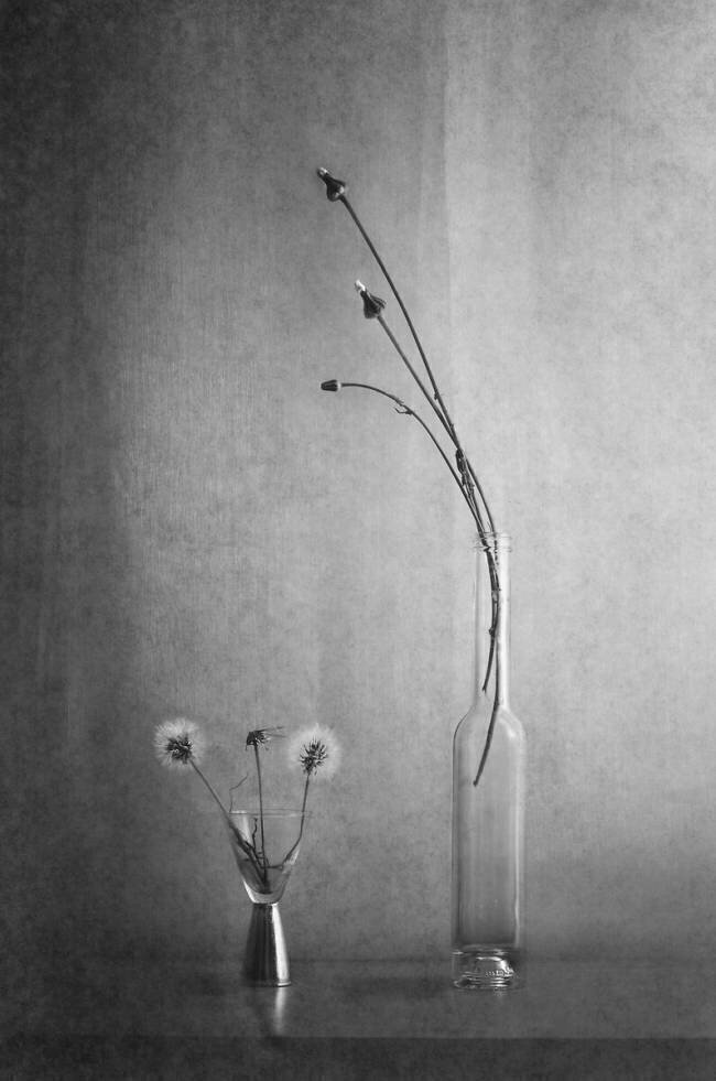 Everything changes Piera Polo