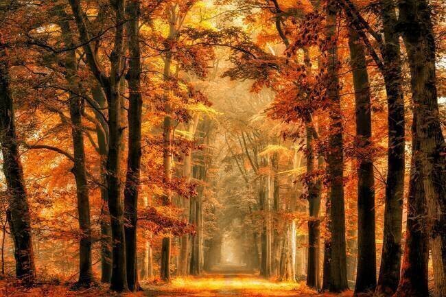 Exit the Portal Lars van de Wiel