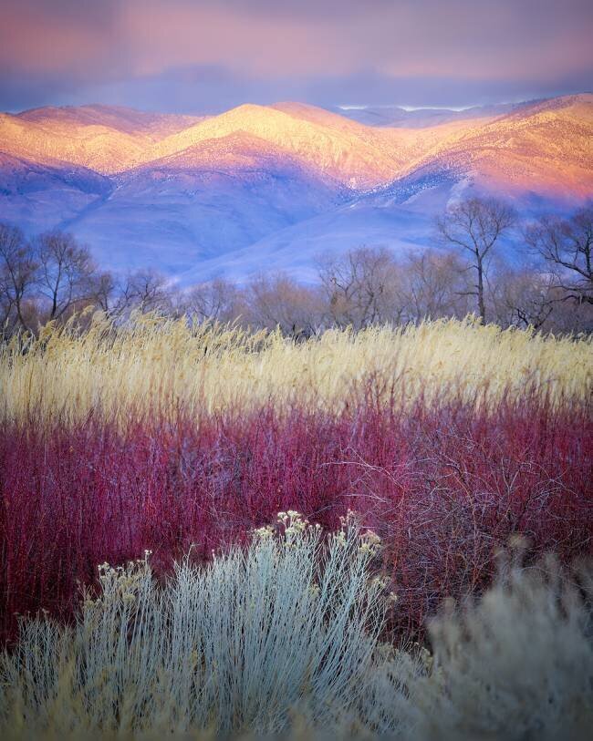 Field Layers Kirbyturnage