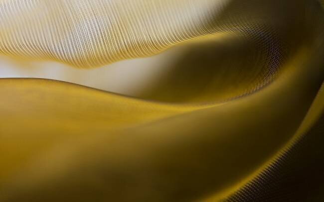 Fields of gold Carola Onkamo