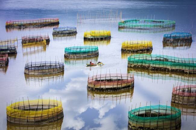 Fisherman Life Shin Woo Ryu