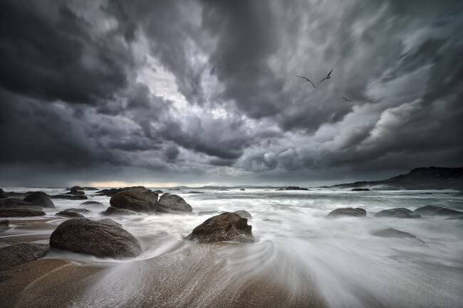 Flight over Troubled Waters Santiago Pascual Buye