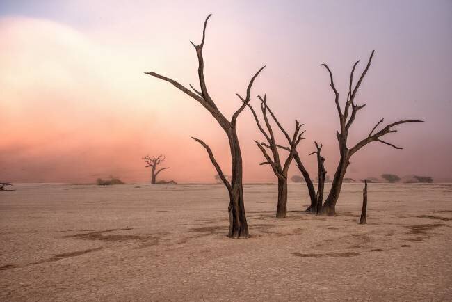 Fog in deadvlei Giuseppe Damico