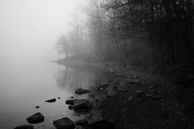 Foggy Lake Binbin Lu