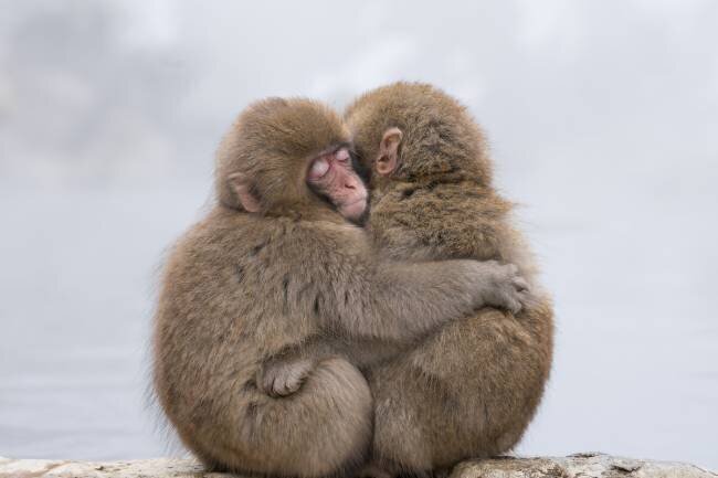 Forever Friends Takeshi Marumoto