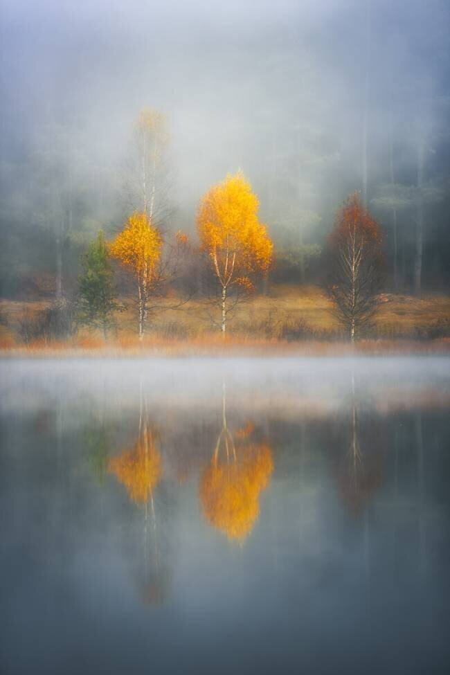 Frame of Autumn Anghel Rusu