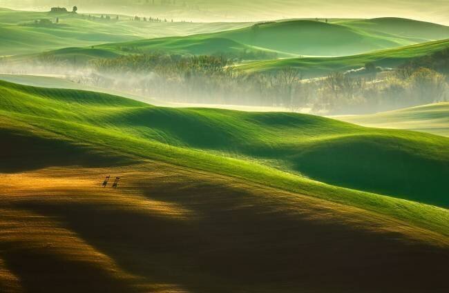 Freedom.... Krzysztof Browko