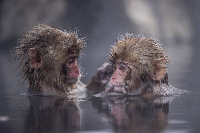 Friends Takeshi Marumoto