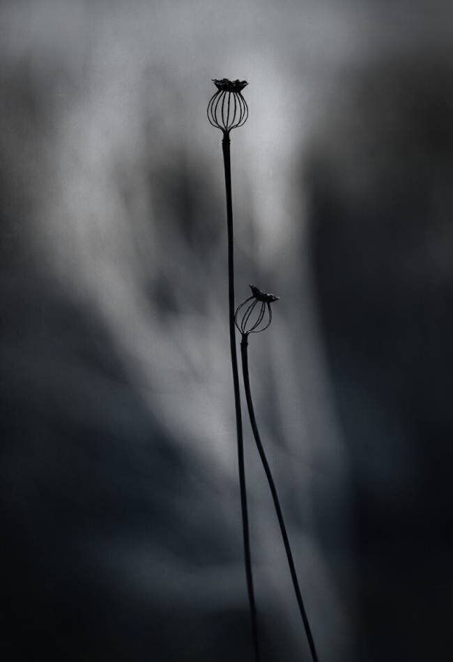 From last Year Lotte Gronkjar