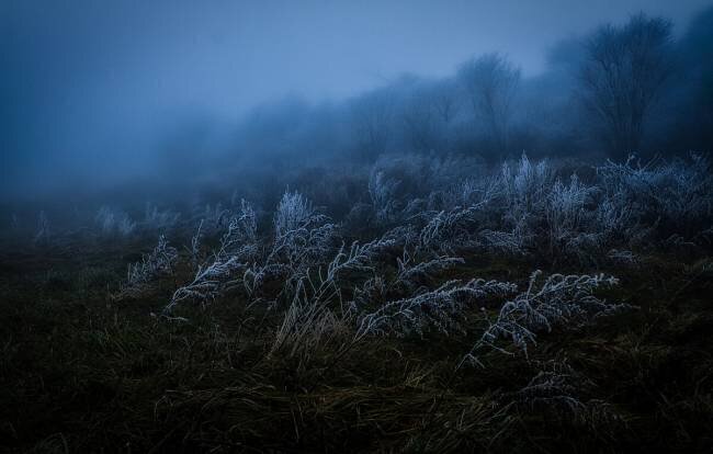 Frosty day Takafumi Yamashita