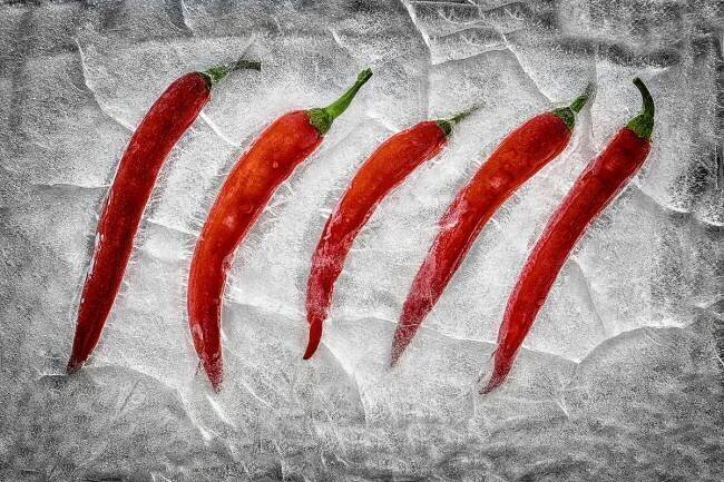 Frozen fire Secundino Losada
