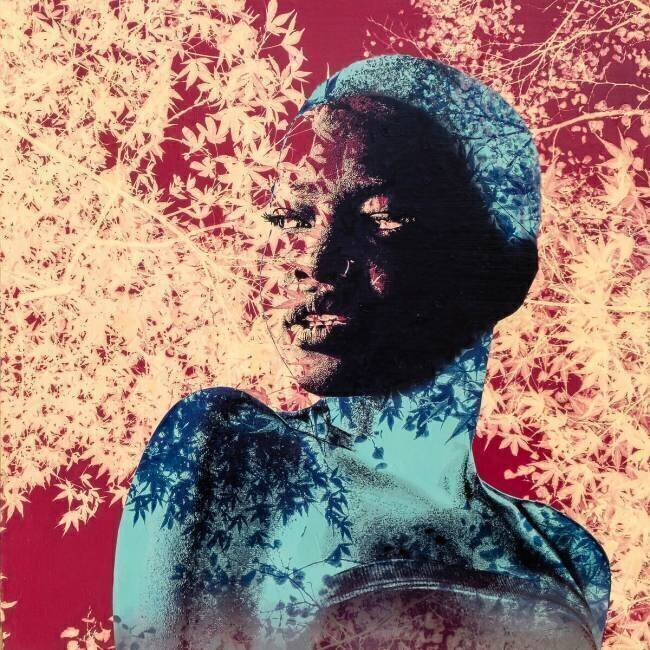 Glaze in the shadow Olivia Gozzano