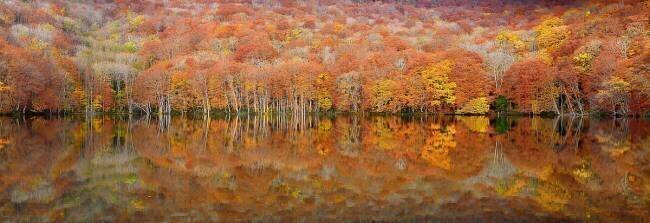 Glowing autumn Sho Shibata