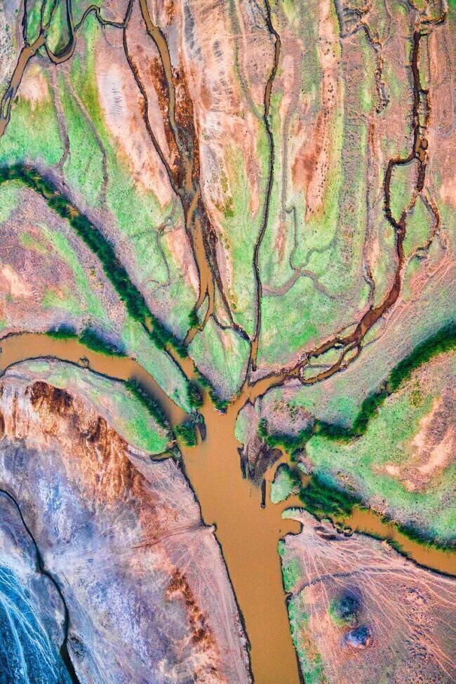 God's Palette John Fan