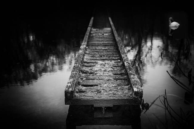 Going nowhere Michael