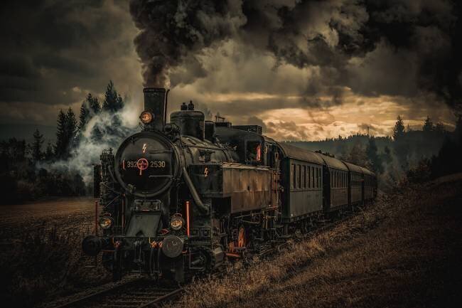 Gold digger train Hubert Bichler