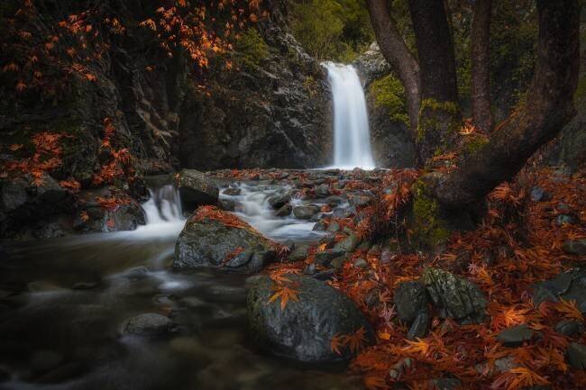 Headwaters Christos Zoumides