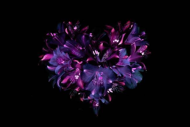Heartfelt Jacky Parker