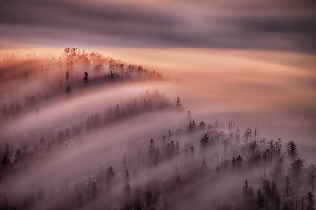 High Tide Peter Svoboda MQEP