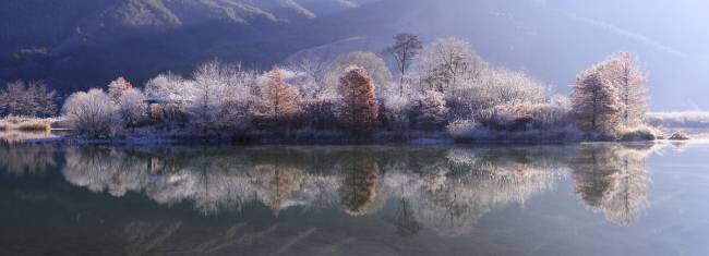 Ice Island Tiger Seo