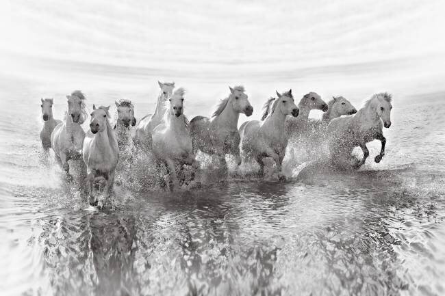 Illusion of power (13 horse power though) Roman Golubenko