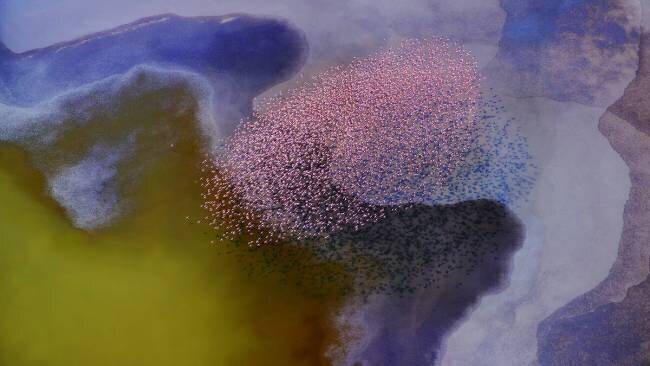 Incredible colors Phillip Chang