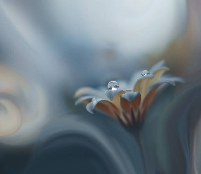 Infinite longing... Juliana Nan