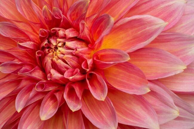 Inner Flame Richard Urbanski